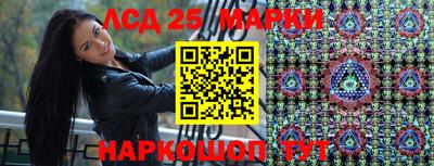 PSILOCYBIN Пушкино
