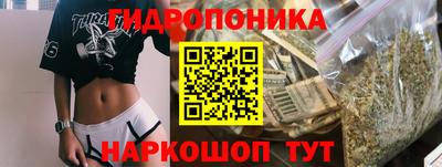 ALPHA PVP Пугачёв