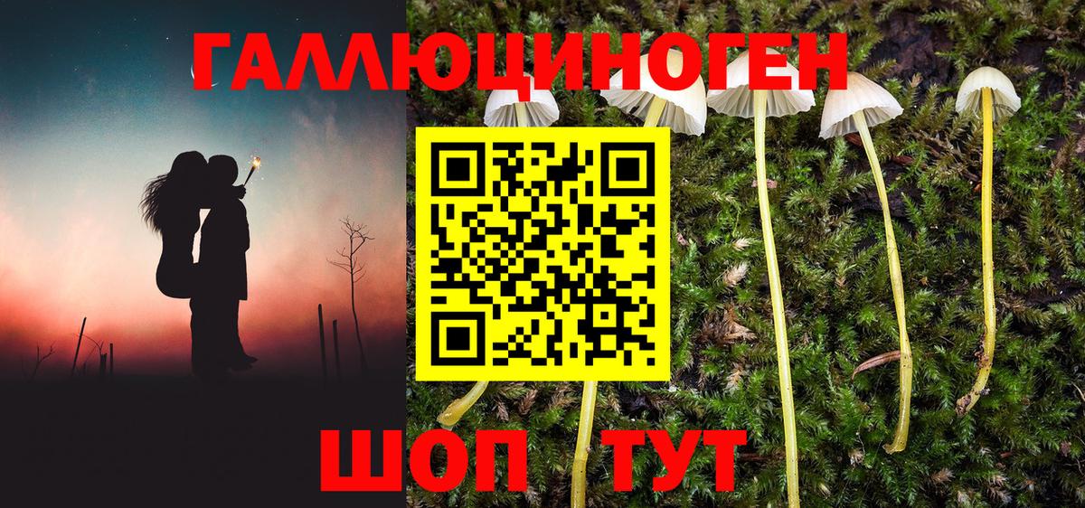 купить наркотик  Псилоцибиновые грибы MAGIC MUSHROOMS  Псилоцибиновые грибы MAGIC MUSHROOMS  Вход с VPN  Саянск 