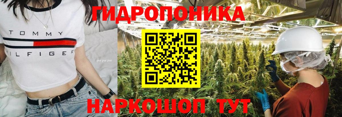 Канабис Amnesia Саянск